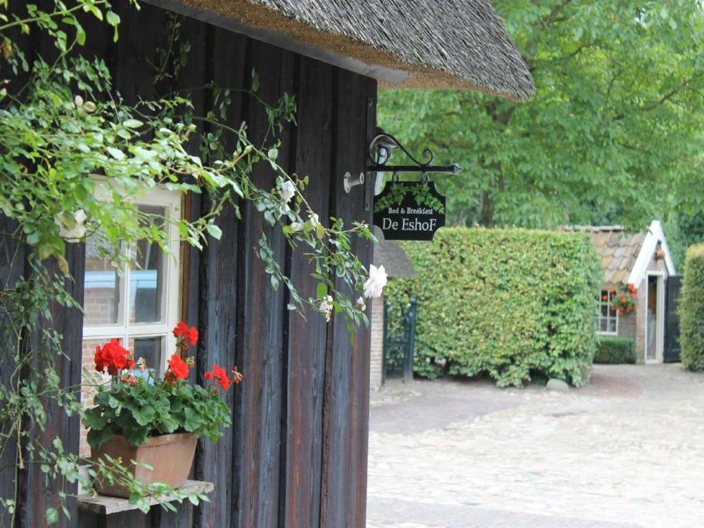 Hoeve De Eshof Norg Exterior foto